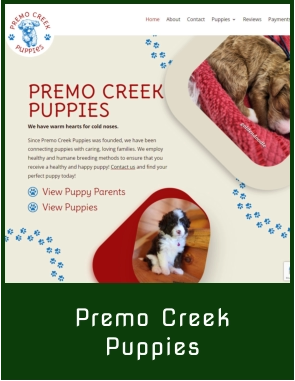 Premo Creek Puppies