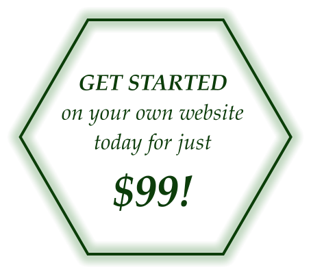 GET STARTEDon your own website today for just  $99!
