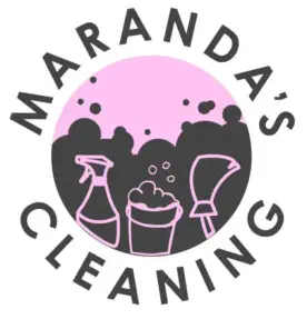 cleaning lady logo