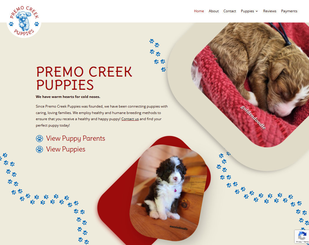 Premo Creek Puppies website homepage screenshot Premo Creek Puppies website homepage screenshot
