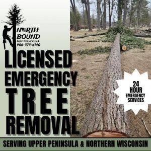 Graphic Design in Bark River, Michigan (5733)