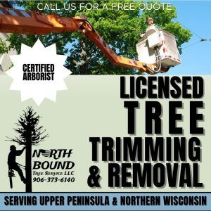 Graphic Design in Bark River, Michigan (9945)