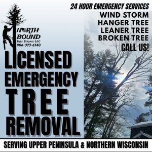 Graphic Design in Bark River, Michigan (917)