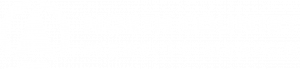 Logo for North Country Website Design Upper Peninsula of Michigan Website Company